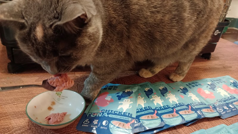 女人知己試用大隊,口碑行銷,部落客行銷,自然食 成長機能主食餐包,自然食,成長機能狗狗主食餐包,成長機能貓咪主食餐包,滿足毛孩最單純的幸福,人食等級食材,開封即食,綿密的肉泥狀質地,好吸收,無膠類,無色素,無防腐劑的添,維持腸道健康,添加DHA/靈芝多醣體,使用高優質蛋白,適口性佳,狗狗口味,犬用營養火雞,犬用嫩雞牛肉,貓咪口味,貓用營養嫩雞,貓用嫩雞鮪魚